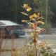 Illustration for article titled Off Seasons: Drift-Happy In a Nissan Silvia